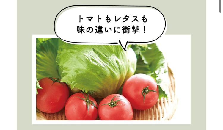 大地を守る会